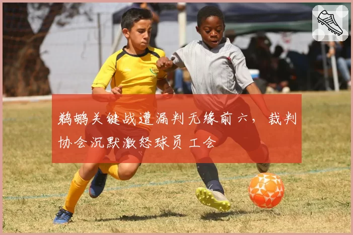 鹈鹕关键战遭漏判无缘前六,裁判协会沉默激怒球员工会