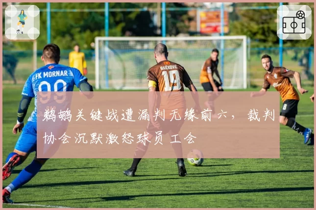 鹈鹕关键战遭漏判无缘前六,裁判协会沉默激怒球员工会